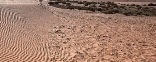desert